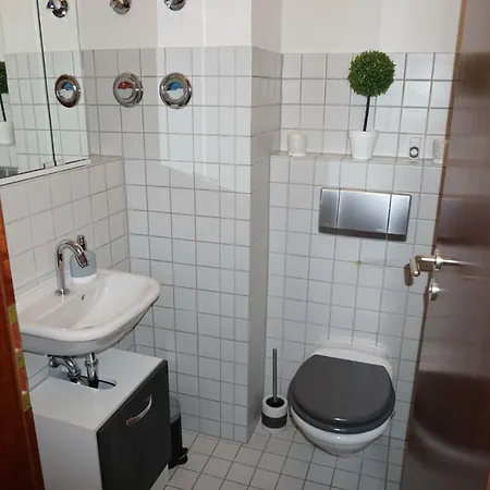 Luxus - Homecinema-vollausgestattete Kuche-garten Dresden