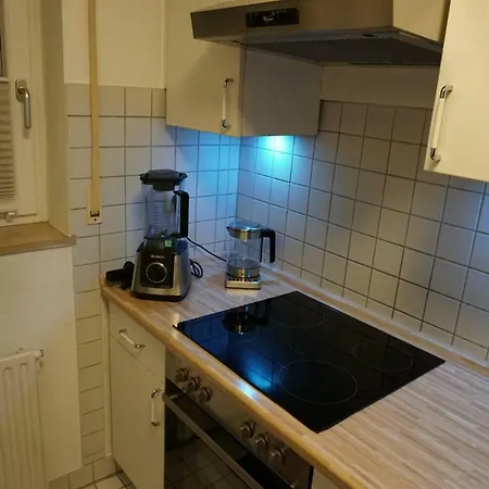 Apartment Luxus - Homecinema-vollausgestattete Kuche-garten Dresden