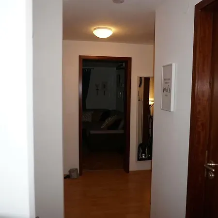 Luxus - Homecinema-vollausgestattete Kuche-garten * ドレスデン